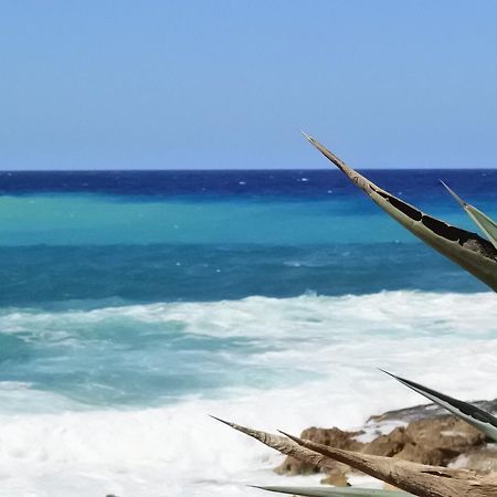 Kissonerga Beach Apartment Paphos 外观 照片
