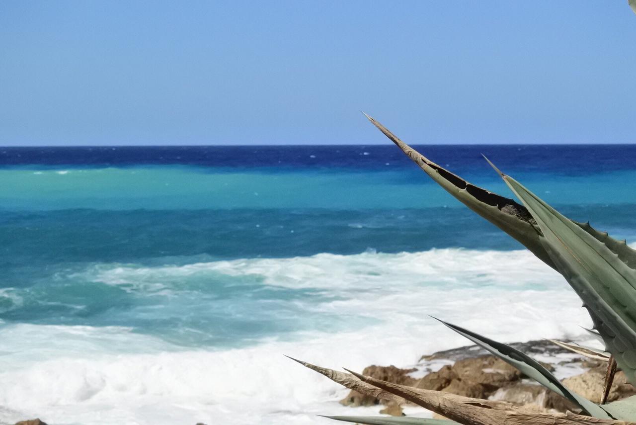 Kissonerga Beach Apartment Paphos 外观 照片